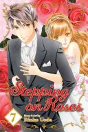 Stepping on Roses, Vol. 7, 7