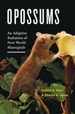 Oposum: O radiație adaptivă a marsupialelor din Lumea Nouă - Opossums: An Adaptive Radiation of New World Marsupials