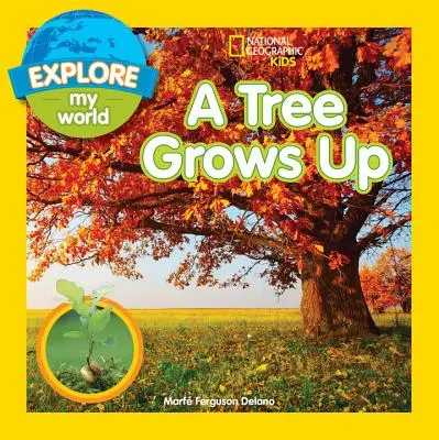 Explorați lumea mea: A Tree Grows Up - Explore My World: A Tree Grows Up
