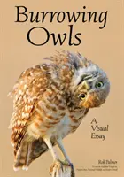 Lumea bufnițelor scormonitoare: Un eseu fotografic de explorare a comportamentelor și frumuseții lor - The World of Burrowing Owls: A Photographic Essay Exploring Their Behaviors & Beauty
