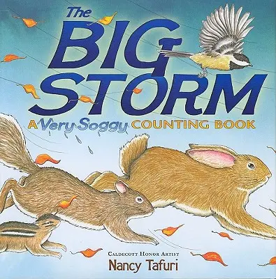 Marea furtună: O carte de numărat foarte umedă - The Big Storm: A Very Soggy Counting Book