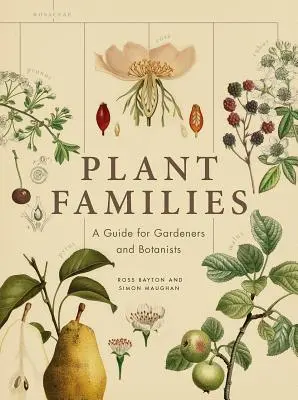 Familiile de plante: Un ghid pentru grădinari și botaniști - Plant Families: A Guide for Gardeners and Botanists