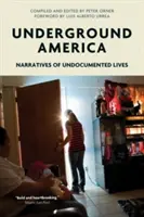America subterană: Narațiuni ale unor vieți fără documente - Underground America: Narratives of Undocumented Lives