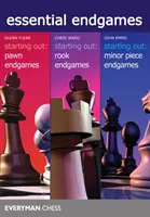 Jocuri finale esențiale - Essential Endgames