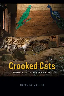 Crooked Cats: Întâlniri bestiale în Antropocen - Crooked Cats: Beastly Encounters in the Anthropocene
