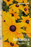 Înțelegerea semanticii - Understanding Semantics