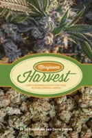 Marijuana Harvest: Cum să maximizezi calitatea și randamentul în grădina ta de canabis - Marijuana Harvest: How to Maximize Quality and Yield in Your Cannabis Garden