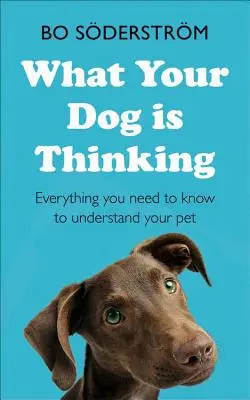 La ce se gândește câinele tău - What Your Dog Is Thinking