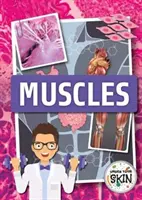 Mușchi - Muscles