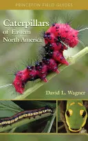 Omizi din estul Americii de Nord: Un ghid de identificare și istorie naturală - Caterpillars of Eastern North America: A Guide to Identification and Natural History