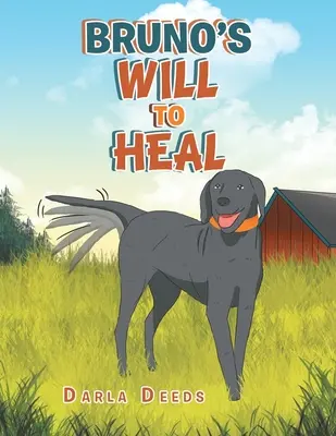 Voința de vindecare a lui Bruno - Bruno's Will to Heal