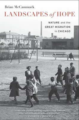 Peisajele speranței: natura și marea migrație din Chicago (Landscapes of Hope: Nature and the Great Migration in Chicago) - Landscapes of Hope: Nature and the Great Migration in Chicago