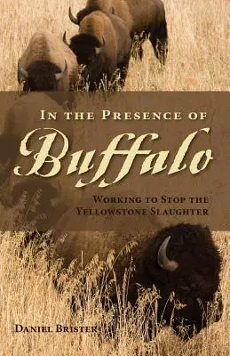 În prezența bivolului: Lucrând pentru a opri masacrul de la Yellowstone - In the Presence of Buffalo: Working to Stop the Yellowstone Slaughter