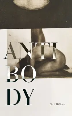 Anticorp - Antibody