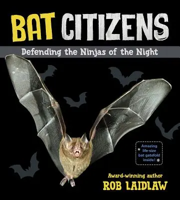 Cetățeni liliac: Apărându-i pe ninja din noapte - Bat Citizens: Defending the Ninjas of the Night