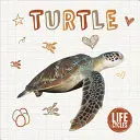 Broască țestoasă - Turtle