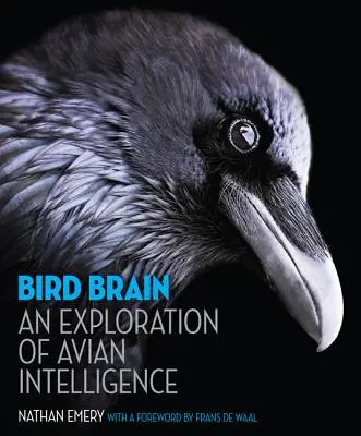 Creierul păsărilor: O explorare a inteligenței păsărilor - Bird Brain: An Exploration of Avian Intelligence