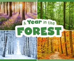 Anul în pădure - Year in the Forest