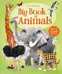 Marea carte a animalelor - Big Book of Animals