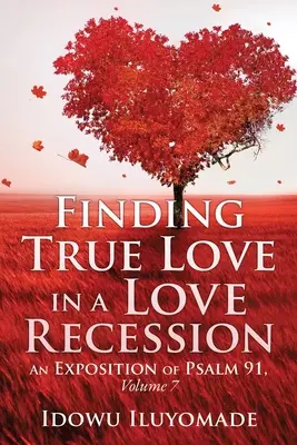 Găsirea dragostei adevărate într-o recesiune amoroasă - Finding True Love in a Love Recession
