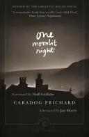 O noapte luminată de lună - One Moonlit Night