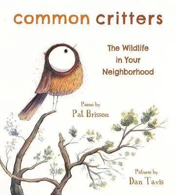 Common Critters: Animalele sălbatice din cartierul tău - Common Critters: The Wildlife in Your Neighborhood