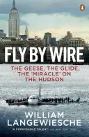 Fly By Wire - Gâștele, planarea, „miracolul” de pe Hudson - Fly By Wire - The Geese, The Glide, The 'Miracle' on the Hudson