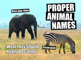 Nume potrivite pentru animale - Cum ar trebui să li se spună cu adevărat - Proper Animal Names - What They Should Really Be Called