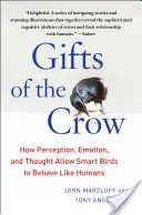 Gifts of the Crow: How Perception, Emotion, and Thought Allow Smart Birds to Behave Like Humans