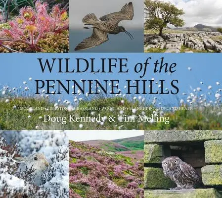 Wildlife of the Pennine Hills: Moorland: Calcar: Pajiști: Pădure: Blanket Bog: Lanuri înalte - Wildlife of the Pennine Hills: Moorland: Limestone: Grassland: Woodland: Blanket Bog: Upland Heath