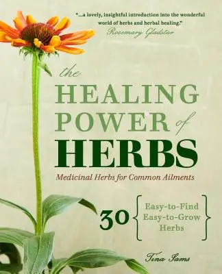 Puterea vindecătoare a ierburilor: Ierburi medicinale pentru afecțiuni comune - The Healing Power of Herbs: Medicinal Herbs for Common Ailments