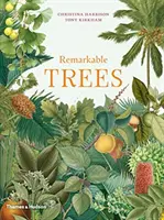 Copaci remarcabili - Remarkable Trees