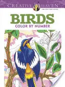 Carte de colorat Creative Haven Birds Color by Number - Creative Haven Birds Color by Number Coloring Book