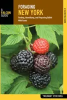 Foraging New York: Găsirea, identificarea și prepararea alimentelor sălbatice comestibile - Foraging New York: Finding, Identifying, and Preparing Edible Wild Foods