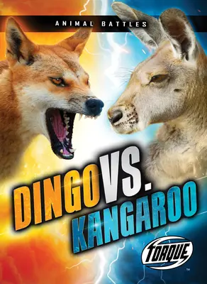 Dingo vs. Cangur - Dingo vs. Kangaroo