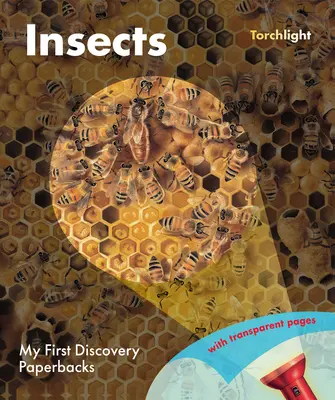 Insecte - Insects