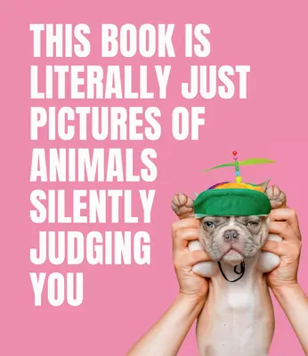 Această Carte Este Literalmente Doar Imagini Cu Animale Care Te Judecă În Tăcere - This Book Is Literally Just Pictures of Animals Silently Judging You