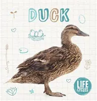 Rață - Duck