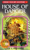 Casa Pericolului - House of Danger