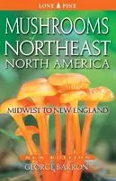 Mushrooms of Northeast North America: De la Midwest la Noua Anglie - Mushrooms of Northeast North America: Midwest to New England