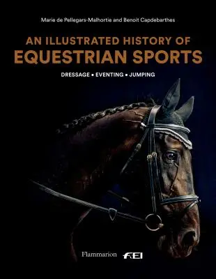 O istorie ilustrată a sporturilor ecvestre: Dresaj, sărituri, concursuri - An Illustrated History of Equestrian Sports: Dressage, Jumping, Eventing
