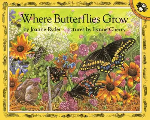 Unde cresc fluturi - Where Butterflies Grow