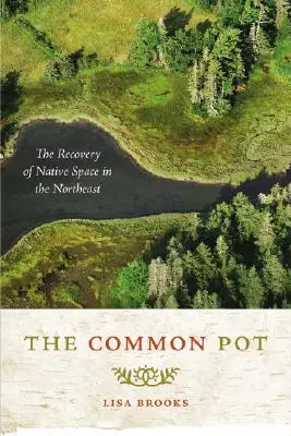 The Common Pot: Recuperarea spațiului nativ în nord-est - The Common Pot: The Recovery of Native Space in the Northeast