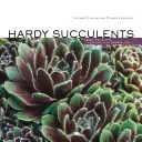 Succulente rezistente: Plante rezistente pentru orice climă - Hardy Succulents: Tough Plants for Every Climate