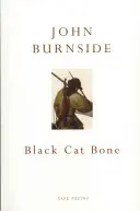 Oase de pisică neagră - Black Cat Bone