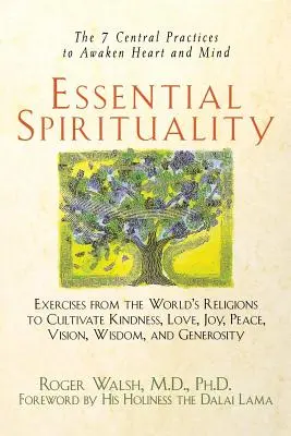 Spiritualitate esențială: Cele 7 practici centrale pentru trezirea inimii și a minții - Essential Spirituality: The 7 Central Practices to Awaken Heart and Mind
