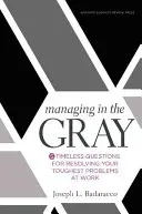 Managing in the Gray: Cinci întrebări atemporale pentru rezolvarea celor mai dificile probleme la locul de muncă - Managing in the Gray: Five Timeless Questions for Resolving Your Toughest Problems at Work
