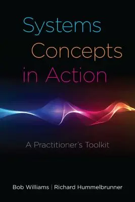 Concepte sistemice în acțiune: Un set de instrumente pentru practicieni - Systems Concepts in Action: A Practitioner's Toolkit