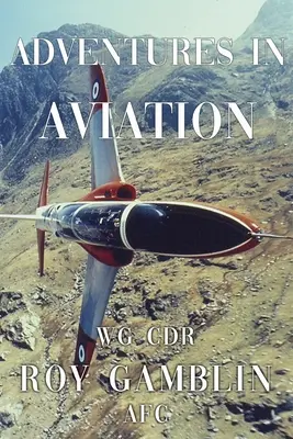 Aventuri în aviație - Adventures in Aviation