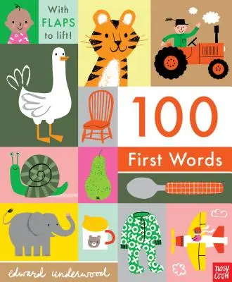 100 primele cuvinte - 100 First Words